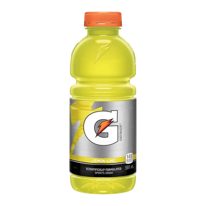 Gatorade Frost Thirst Quencher (495mlx12)