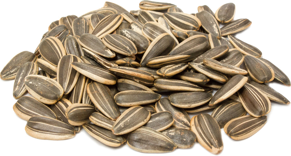 Ayka Premium Sunflower Seeds 100g