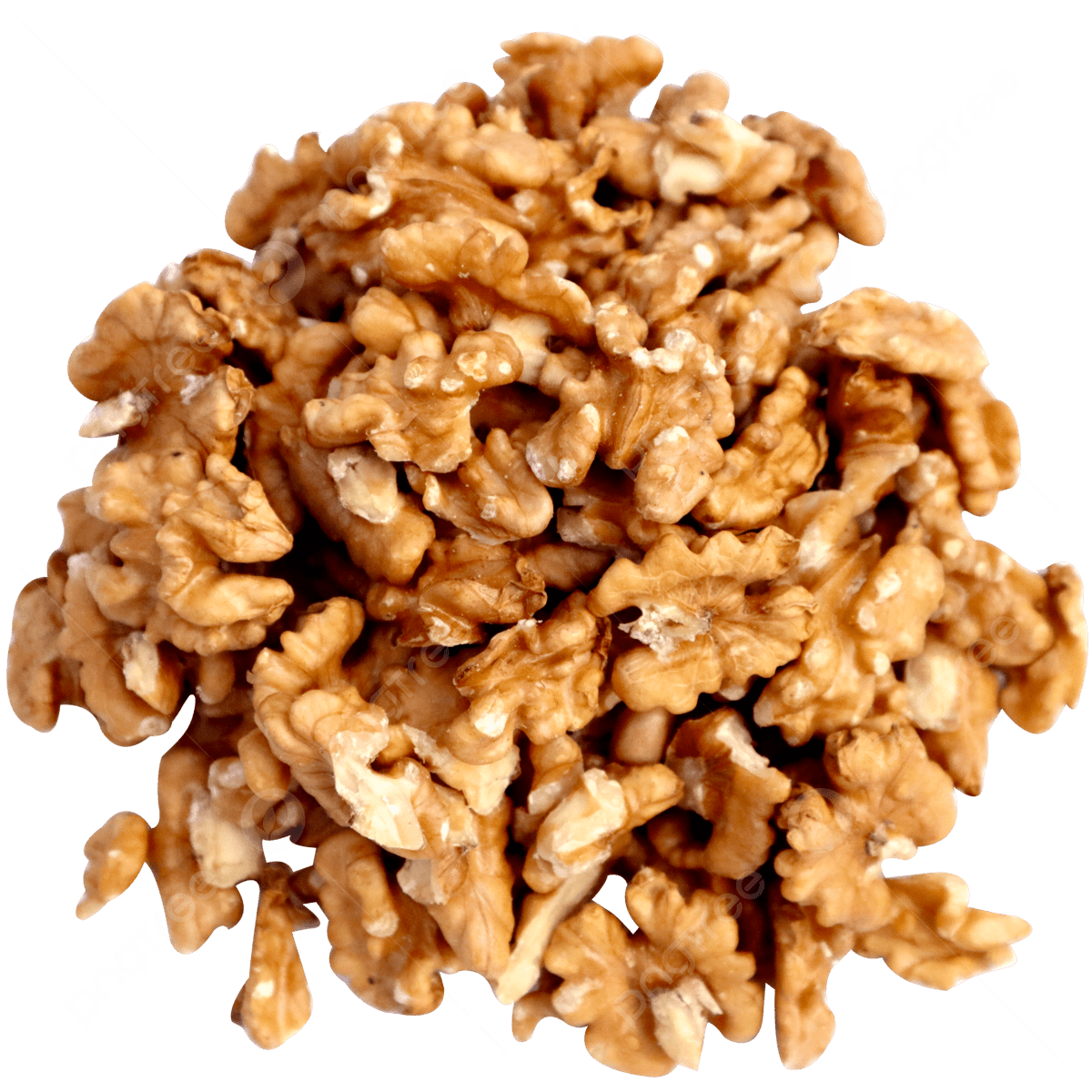 Ayka Co Premium Quality Walnuts (100g)